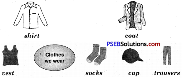 PSEB 5th Class English Solutions Chapter 1 The Elves and the Shoemaker 2