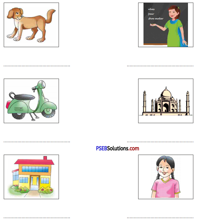 PSEB 5th Class English Solutions Chapter 1 The Elves and the Shoemaker 5
