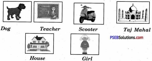 PSEB 5th Class English Solutions Chapter 1 The Elves and the Shoemaker 6