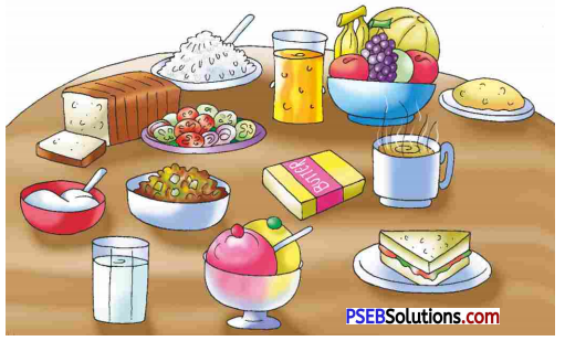 PSEB 5th Class English Solutions Chapter 3 Child and Grandma 1