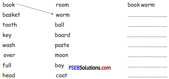 PSEB 5th Class English Solutions Chapter 3 Child and Grandma 2