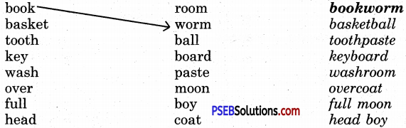 PSEB 5th Class English Solutions Chapter 3 Child and Grandma 3