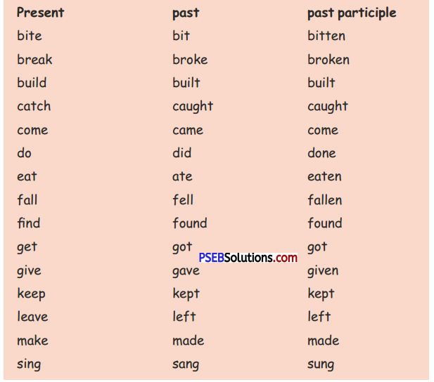 PSEB 5th Class English Solutions Chapter 3 Child and Grandma 4