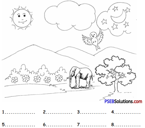 PSEB 5th Class English Solutions Chapter 7 Global Warming 1