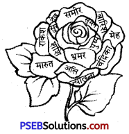 PSEB 5th Class Hindi Solutions Chapter 10 फूल और काँटा 1