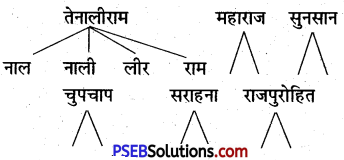 PSEB 5th Class Hindi Solutions Chapter 3 नगर की सुंदरता 1