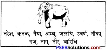 PSEB 5th Class Hindi Solutions Chapter 6 हाथी कैसे तोला गया 1