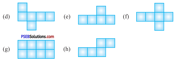 PSEB 5th Class Maths Solutions Chapter 7 Geometry Ex 7.5 4