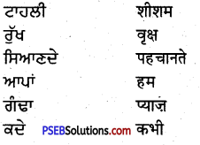 PSEB 5th Class Punjabi Solutions Chapter 10 ਸਾਡੀਆਂ ਸਬਜ਼ੀਆਂ 2