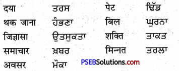 PSEB 5th Class Punjabi Solutions Chapter 15 ਚੰਦਰੀ ਲੂੰਬੜੀ 3