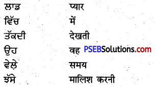 PSEB 5th Class Punjabi Solutions Chapter 3 ਮੇਰੀ ਪਿਆਰੀ ਮਾਂ 2