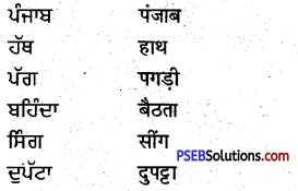 PSEB 5th Class Punjabi Solutions Chapter 4 ਕਿੱਕਲੀ 1
