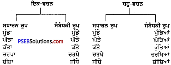 PSEB 8th Class Punjabi Vyakaran ਵਚਨ-1