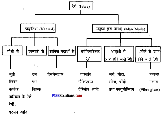 PSEB 10th Class Home Science Solutions Chapter 10 रेशों का वर्गीकरण 1