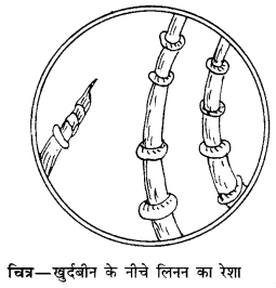 PSEB 10th Class Home Science Solutions Chapter 10 रेशों का वर्गीकरण 5