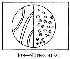 PSEB 10th Class Home Science Solutions Chapter 10 रेशों का वर्गीकरण 8