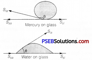 PSEB 11th Class Physics Solutions Chapter 10 Mechanical Properties of Fluids 17