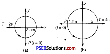 PSEB 11th Class Physics Solutions Chapter 14 Oscillations 14