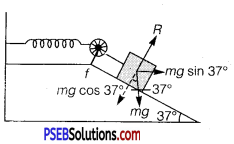 PSEB 11th Class Physics Solutions Chapter 6 Work, Energy and Power 13