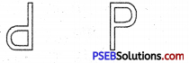 PSEB 4th Class Maths Solutions Chapter 10 ਨਮੂਨੇ Ex 10.1 10