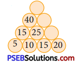 PSEB 4th Class Maths Solutions Chapter 10 ਨਮੂਨੇ Ex 10.1 24
