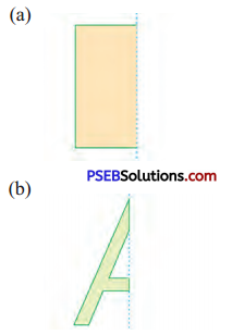 PSEB 4th Class Maths Solutions Chapter 10 ਨਮੂਨੇ Ex 10.1 36