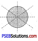 PSEB 4th Class Maths Solutions Chapter 10 ਨਮੂਨੇ Ex 10.1 47