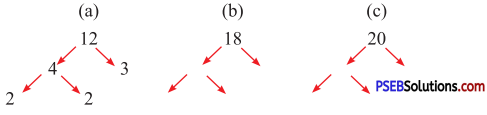 PSEB 5th Class Maths Solutions Chapter 3 ਮਹੱਤਮ ਸਮਾਪਵਰਤਕ ਅਤੇ ਲਘੂਤਮ ...