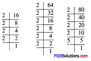 PSEB 5th Class Maths Solutions Chapter 3 ਮਹੱਤਮ ਸਮਾਪਵਰਤਕ ਅਤੇ ਲਘੂਤਮ ਸਮਾਪਵਰਤਯ Ex 3.2 13