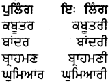 PSEB 5th Class Punjabi Grammar ਵਿਆਕਰਨ 15