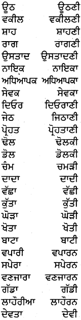PSEB 5th Class Punjabi Grammar ਵਿਆਕਰਨ 17