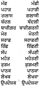 PSEB 5th Class Punjabi Grammar ਵਿਆਕਰਨ 18
