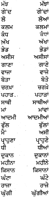PSEB 5th Class Punjabi Grammar ਵਿਆਕਰਨ 24
