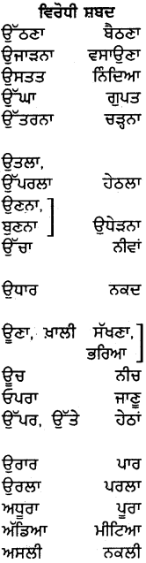 PSEB 5th Class Punjabi Grammar ਵਿਆਕਰਨ 25