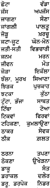 PSEB 5th Class Punjabi Grammar ਵਿਆਕਰਨ 35