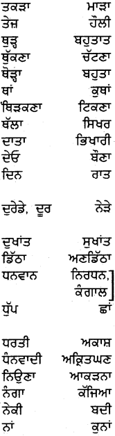 PSEB 5th Class Punjabi Grammar ਵਿਆਕਰਨ 37