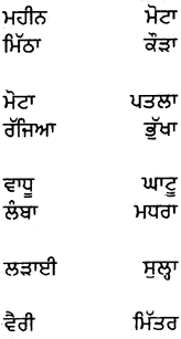 PSEB 5th Class Punjabi Grammar ਵਿਆਕਰਨ 42