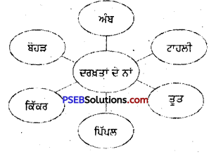 PSEB 5th Class Punjabi Solutions Chapter 6 ਆਓ ਰਲ-ਮਿਲ ਰੁੱਖ ਲਗਾਈਏ 4