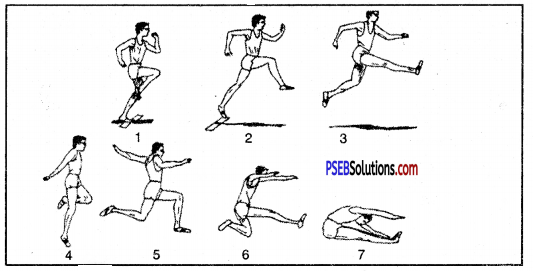 ऐथलैटिक्स (Athletics) Game Rules - PSEB 10th Class Physical Education 9