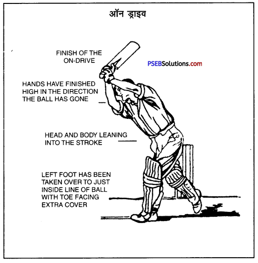 क्रिकेट (Cricket) Game Rules - PSEB 10th Class Physical Education 10
