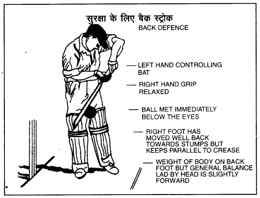 क्रिकेट (Cricket) Game Rules - PSEB 10th Class Physical Education 11