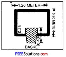 बॉस्केट बाल (Basket Ball) Game Rules - PSEB 10th Class Physical Education 3
