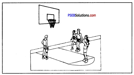 बॉस्केट बाल (Basket Ball) Game Rules - PSEB 10th Class Physical Education 5