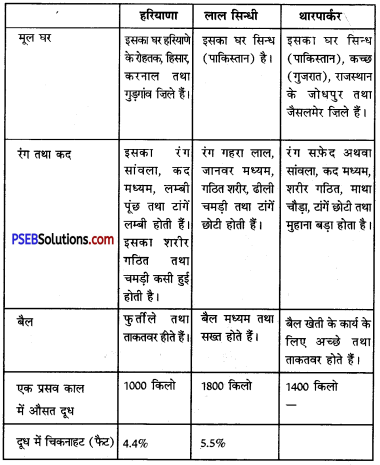 PSEB 11th Class Agriculture Solutions Chapter 6 पशु पालन 1