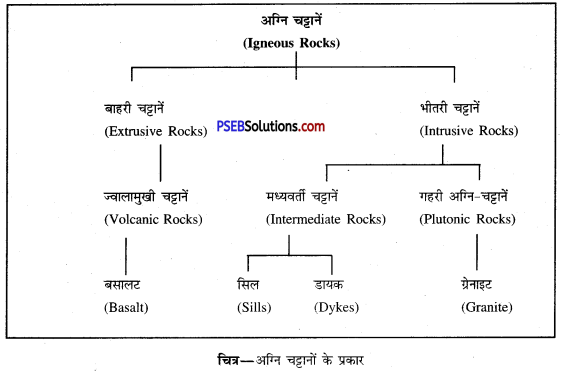 PSEB 11th Class Geography Solutions Chapter 2 चट्टानें 1