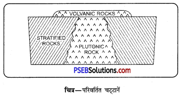 PSEB 11th Class Geography Solutions Chapter 2 चट्टानें 10