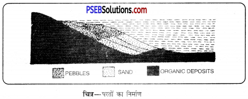 PSEB 11th Class Geography Solutions Chapter 2 चट्टानें 4