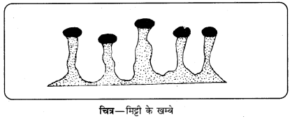 PSEB 11th Class Geography Solutions Chapter 3(i) नदी के अनावृत्तिकरण कार्य 12
