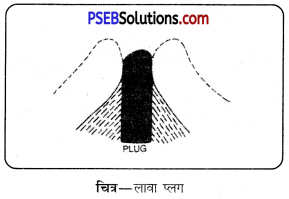 PSEB 11th Class Geography Solutions Chapter 5(i) ज्वालामुखी 10