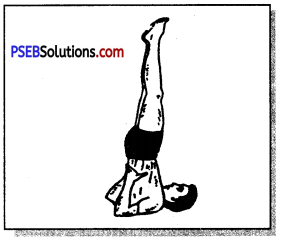 PSEB 11th Class Physical Education Solutions Chapter 4 योग 11